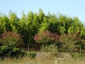2018-09-20 10-13-27 Rando Combas MBo